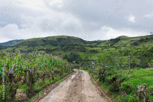 Rural dirt road 