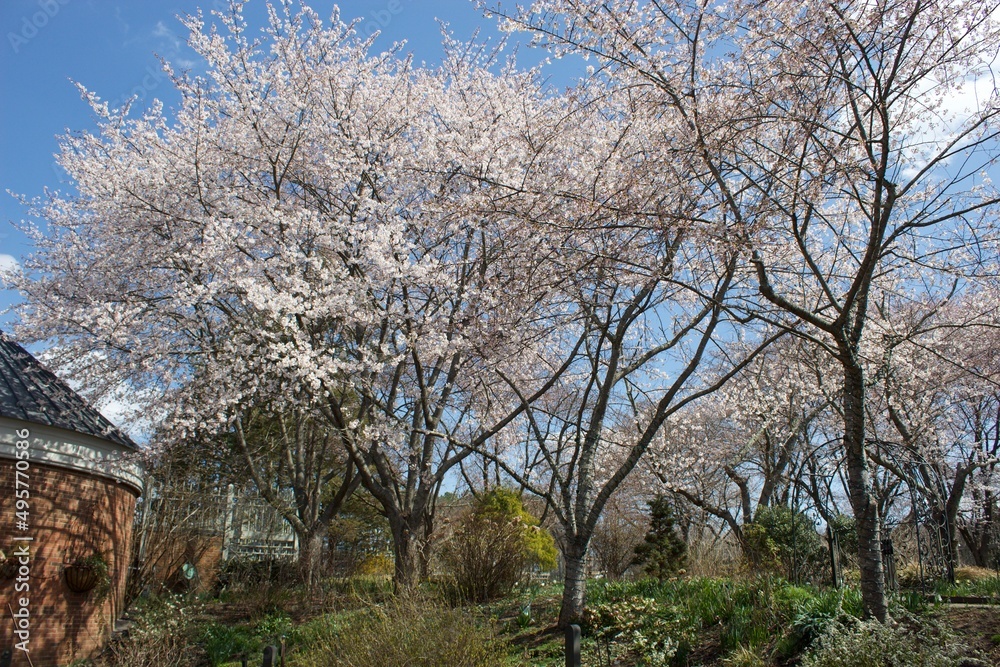 Botanical Gardens