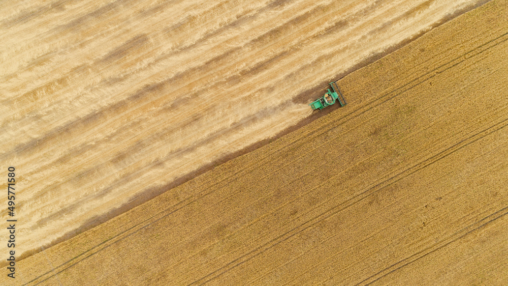 Aerial view combine harvester harvesting on the field Aerial view combine harvester harvesting on the field