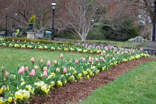 Washington DC
