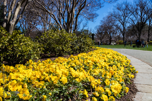 waling in a park during spring
