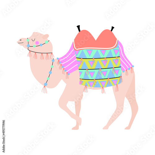 Camel vector illustration