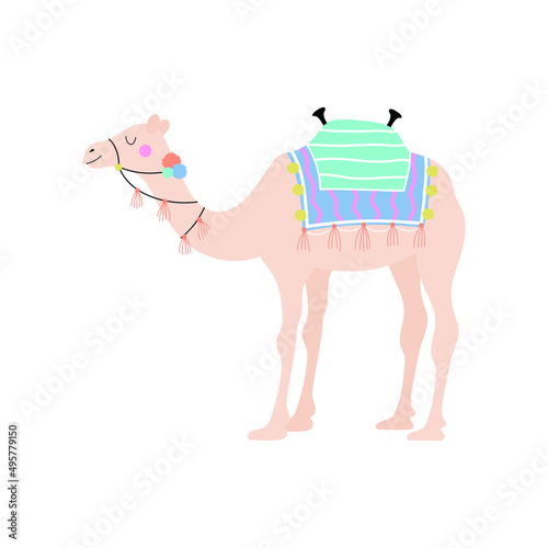 Camel vector illustration.