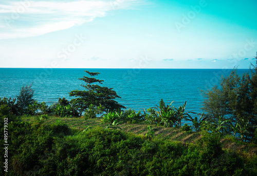 beautiful view of green trees by the sea