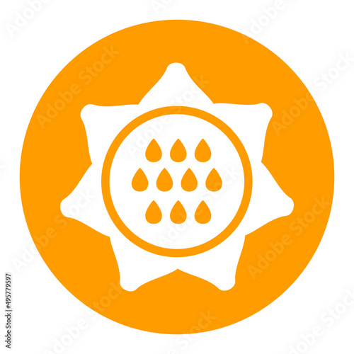 Sunflower outline glyph icon. Vegetable vector