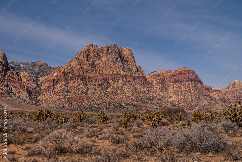 Las Vegas, Nevada, USA - February 23, 2010: Red Rock Canyon Conservation Area. Red layered brown rocky mountain range under blue sky. Dry desert floor with bushes and Joshua trees in front.