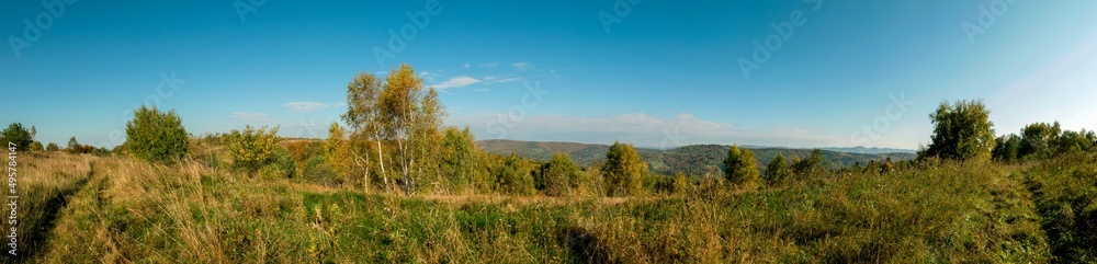 Panorama of autumn tree on a large lawn.