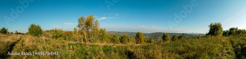 Fototapeta Naklejka Na Ścianę i Meble -  Panorama of autumn tree on a large lawn.