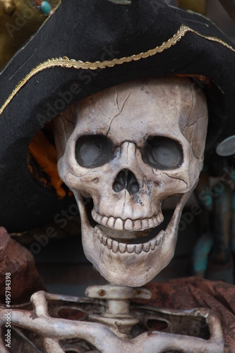 Skeletal Pirate