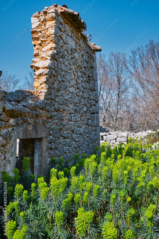 Fototapeta premium ruins of an old castle