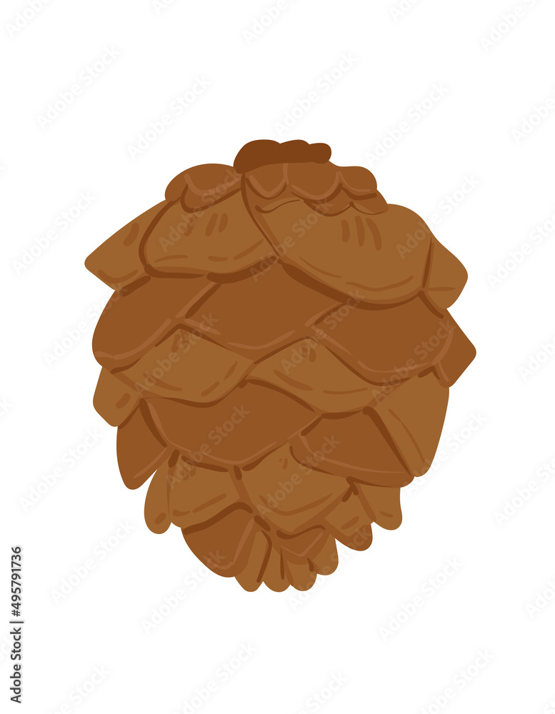 Vector pinecone on a white background. Cone from a tree in cartoon style. Vector pinecone on a white background. Cone from a tree in cartoon style.