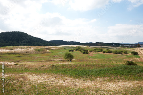 Sindu-ri Coastal Sand Hills in Taean-gun, South Korea.