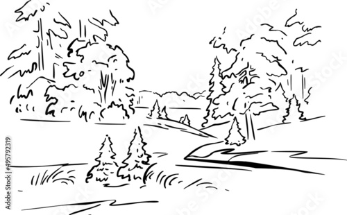 Forests and glade hand draw vector illustration