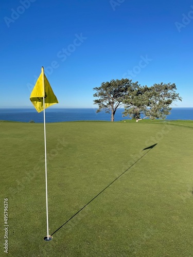 Bilde på lerret torrey pines