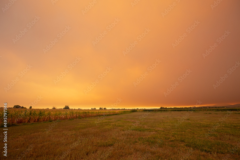 Obraz premium Summer wildfire smoke, 2020