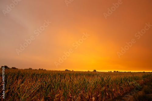 Summer wildfire smoke, 2020
