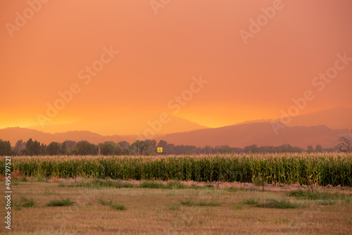 Summer wildfire smoke  2020