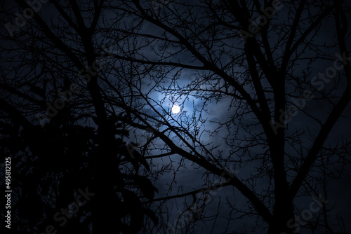 The full moon in cloudy sky seen through branches of trees at night