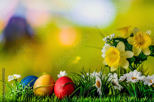 Easter colored eggs  a composition with flowers grass