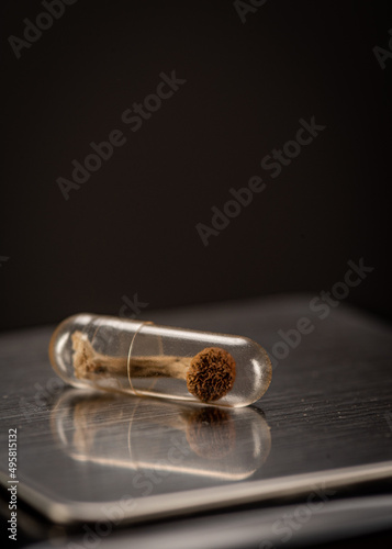 whole psilocybin mushroom inside a clear medicine capsule on metal surface; low angle view vertical photo
