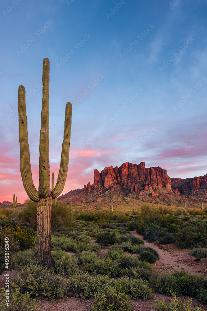 The Superstition Mountains with a Saguaro cactus in the Arizona desert at sunset