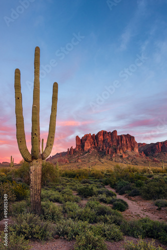 The Superstition Mountains with a Saguaro cactus in the Arizona desert at sunset © JSirlin