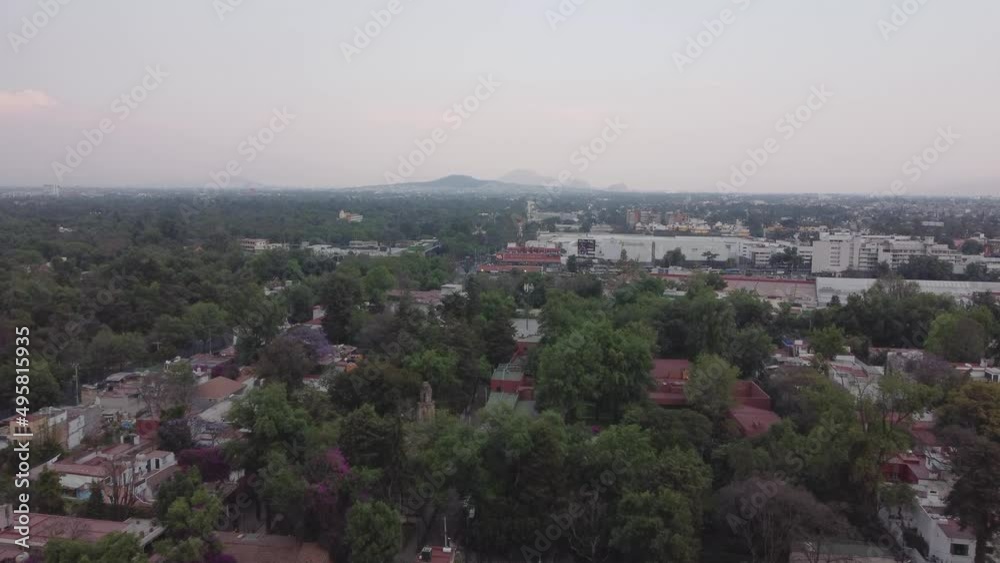 Flying over the trees of the City Flying over the trees of the City