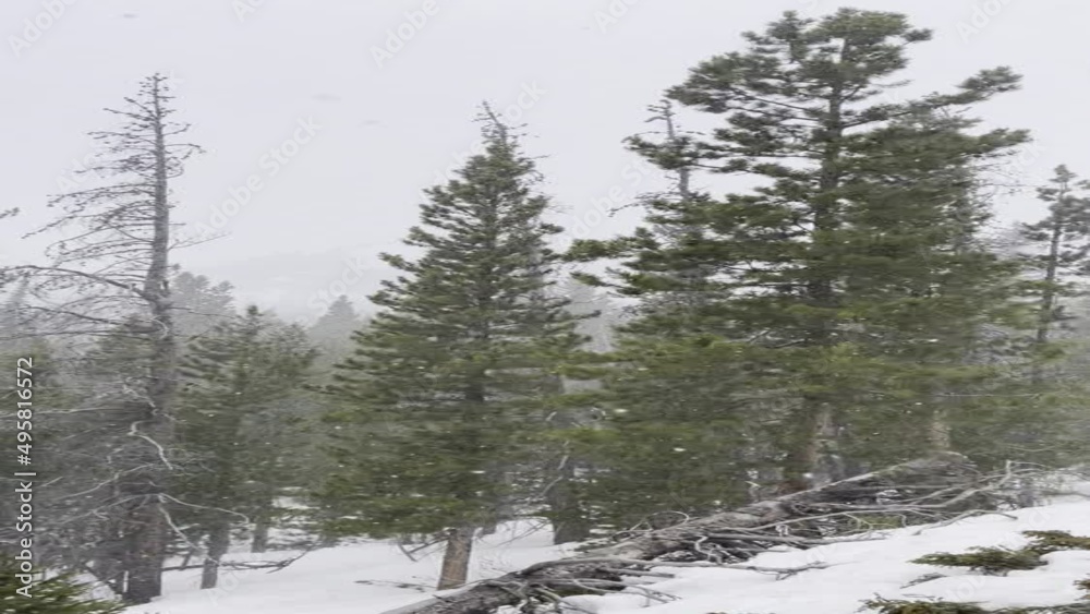 Extreme weather conditions at Rocky Mountain Extreme weather conditions at Rocky Mountain