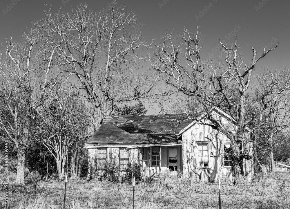Old abandon house with dead trees around Old abandon house with dead trees around
