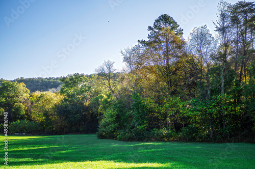 Trees and bushes at the bottom of the hill
