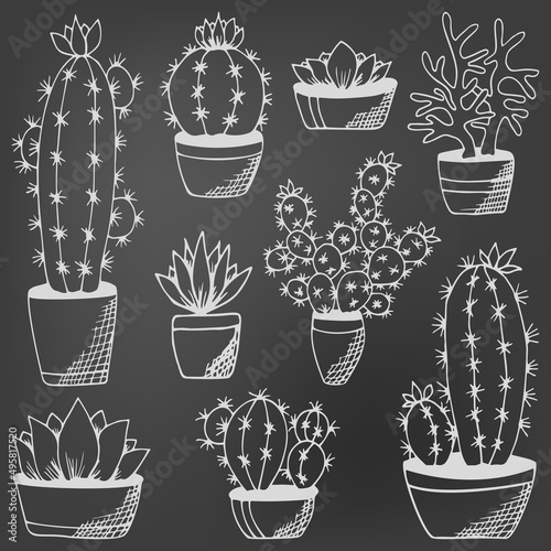 Cactus and succulents set on chalkboard. Hand drawn plants in flower pots. Black and white echeveria, rosula, aloe vera. Design for book, magazine, web, card. Vector illustration