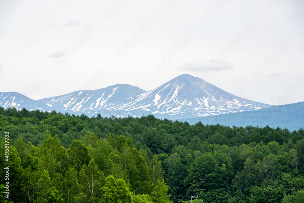 新緑の森と残雪の山並み　大雪山
