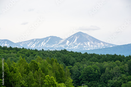 新緑の森と残雪の山並み 大雪山 