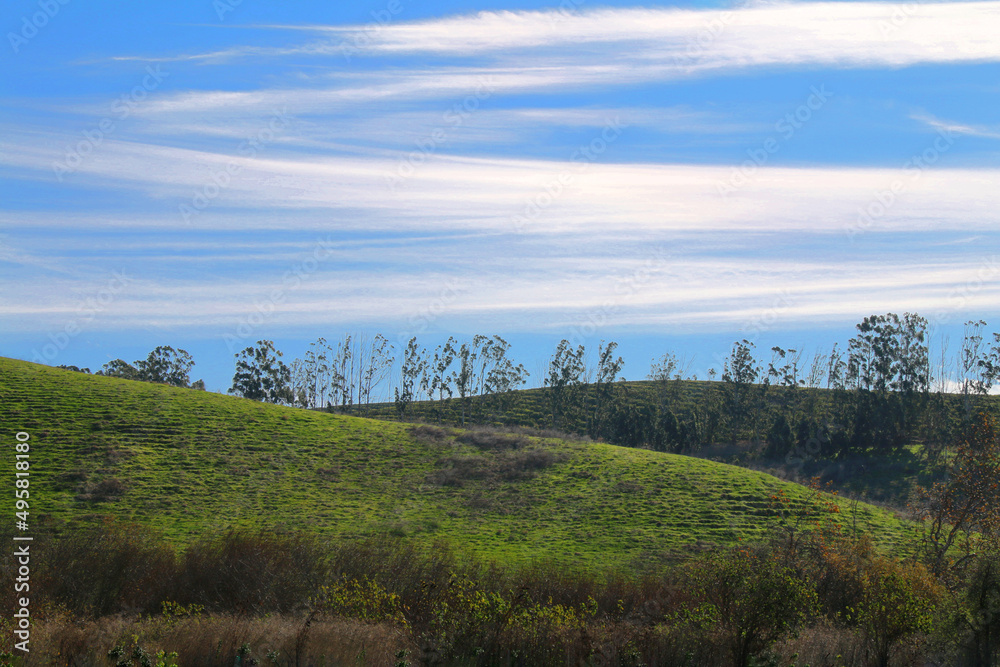 grass hill grazing field hillside lush meadow calm blue sky landscape