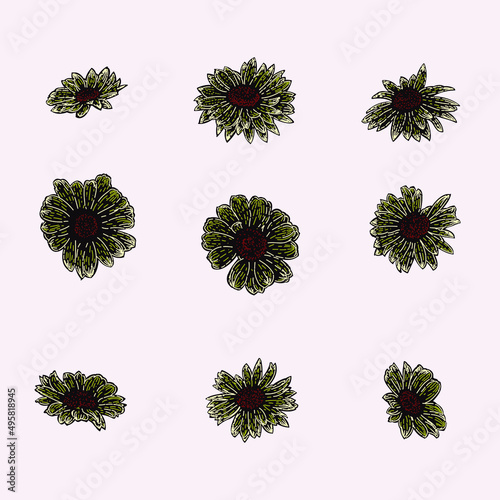 colored painted daisy set illustration. object isolated on background. easy editable.