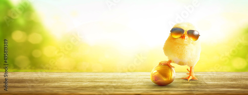 Fotografia Funny cute baby chick with sunglasses and egg.