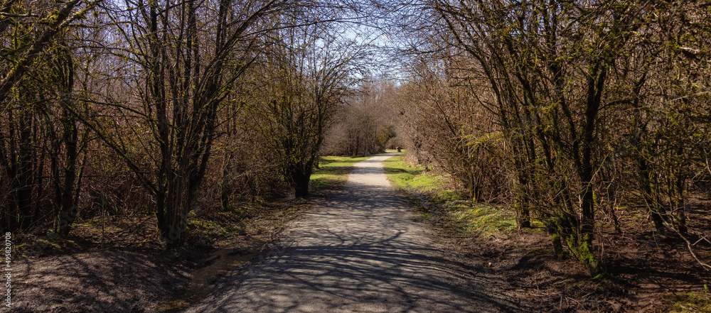 Scenic Trail in a city park with green trees during sunny winter day. Tynehead Park, Surrey, Vancouver, British Columbia, Canada. Scenic Trail in a city park with green trees during sunny winter day. Tynehead Park, Surrey, Vancouver, British Columbia, Canada.