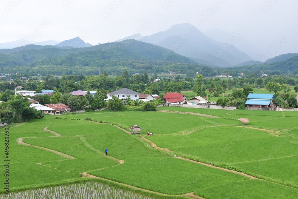 Beautiful scenic of green rice fields and mountains, high angle view from Wat Phuket in Pua District, Nan province, THAILAND. Beautiful scenic of green rice fields and mountains, high angle view from Wat Phuket in Pua District, Nan province, THAILAND.