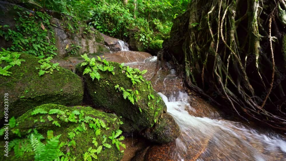 Small waterfalls surrounded by greenery of forest vegetation Abundant green forest trees Dolly slider shot Beautiful nature landscape view Small waterfalls surrounded by greenery of forest vegetation Abundant green forest trees Dolly slider shot Beautiful nature landscape view