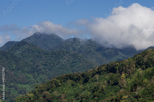 Image of thick tropical forest in Boquete near the Baru volcano. Boquete is located in the Chiriqui province of Panama. © angeldibilio