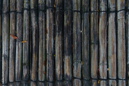 Bamboo texture background © Michael_S