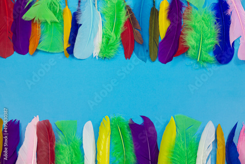 Colorful bird feathers on a blue background. Background, frame