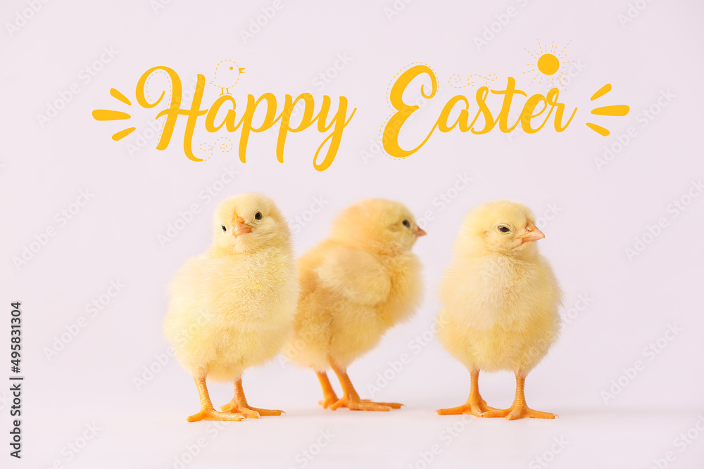 Cute fluffy chickens and text HAPPY EASTER on light background Cute fluffy chickens and text HAPPY EASTER on light background