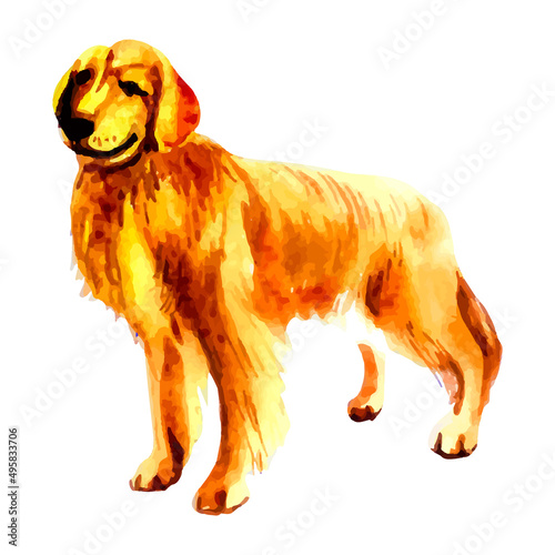 Hand drawn golden retriever watercolor dog.