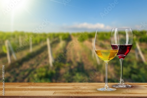 Wine, tasting of red and rose dry wines on winery with view on vineyards and south slopes