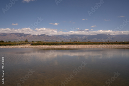 View of the artificial lake  vineyard and mountains in the horizon. Beautiful blue sky reflection in the water surface. 