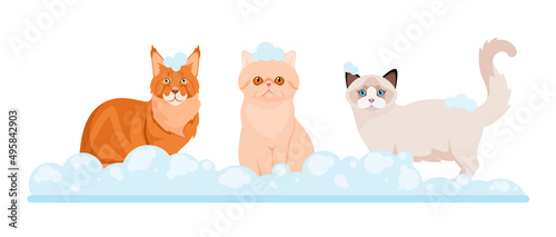 A set of cats in soap foam. Grooming. Cartoon design.
