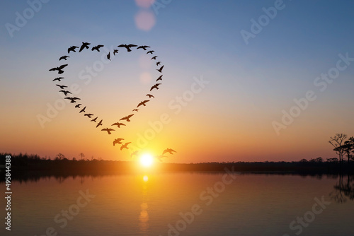 Silhouette of flying flock birds in shape heart over sunrise at coast of the lake.