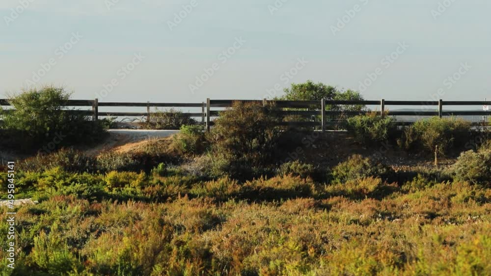 Cyclist passing by on a track of a natural park, there are some bushes and plants and a end of the afternoon sky. The cyclist passes the shot from left to right Cyclist passing by on a track of a natural park, there are some bushes and plants and a end of the afternoon sky. The cyclist passes the shot from left to right