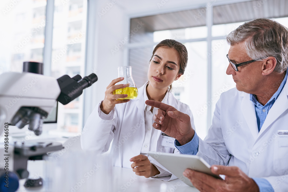 Backing up their strong claims with strong evidence. Shot of two scientists conducting an experiment together in a lab. Backing up their strong claims with strong evidence. Shot of two scientists conducting an experiment together in a lab.
